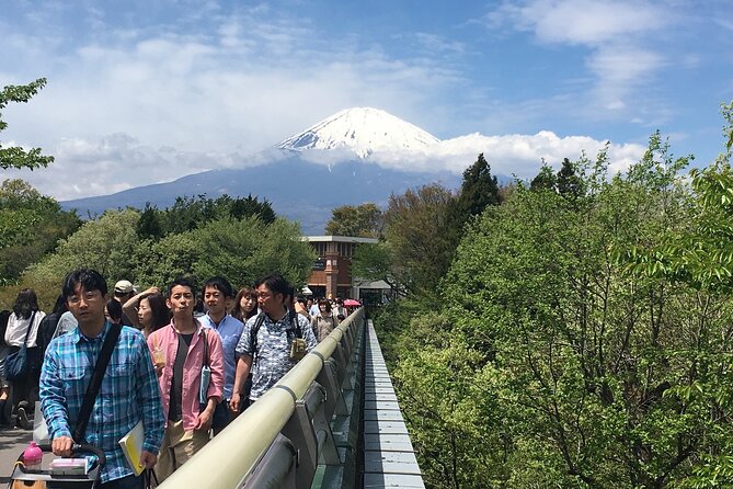 Private Car Mt Fuji and Gotemba Outlet in One Day From Tokyo - Exceptional Tour Guide