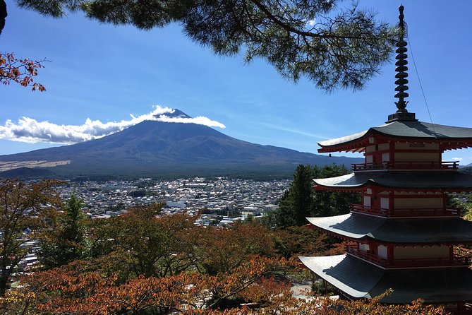 Private Car Tour to Mt. Fuji Lake Kawaguchiko or Hakone Lake Ashi - Customer Experience