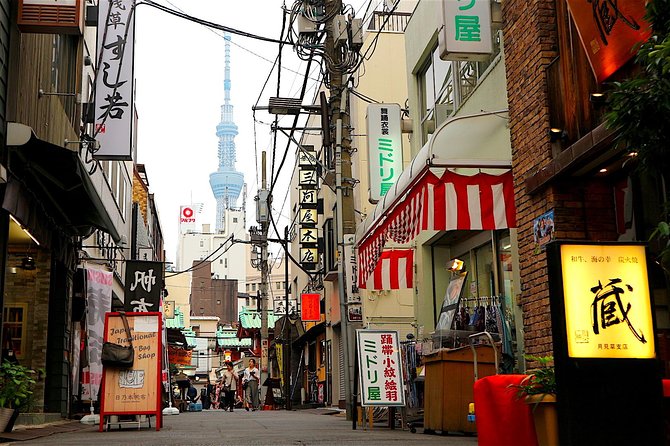 Private Customizable Walking Tour of Tokyo - Professional Tour Guide Assistance