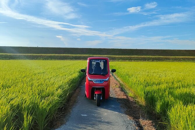 Private Guided Tour With a Rental Electric Bike or Tuktuk in Ise - End Point and Expectations