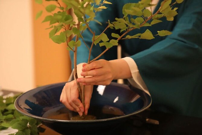 Private Japanese Traditional Flower Arrangement in Tokyo - Accessibility and What to Expect