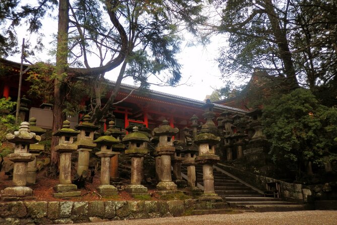 Private Journey in Nara's Historical Wonder - Reviews and Testimonials Overview