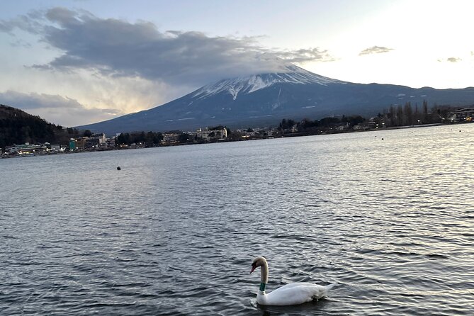 Private Kawaguchiko Tour With Mt Fuji View - Customer Reviews