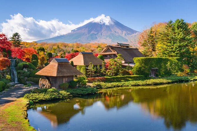 Private Mt. Fuji Custom Tour From Tokyo - Traveler Reviews and Ratings Overview