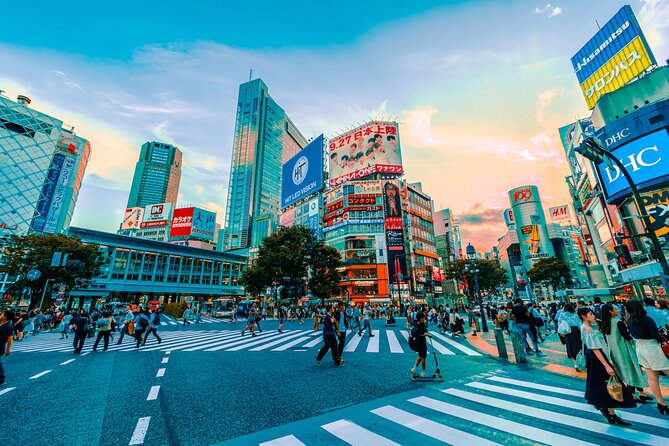 Private Tesla Car Tour of Tokyos Best Sights - Half-Day - Cancellation Policy