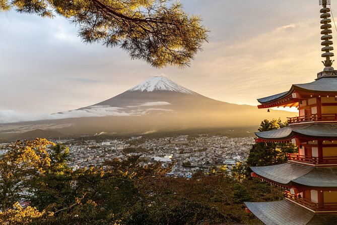 Private Tour in Mt Fuji and Hakone With English Speaking Driver - English-Speaking Driver Guides