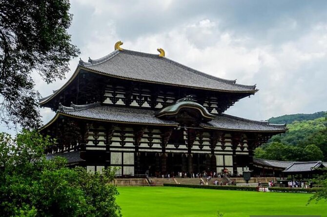 Private Tour Kyoto-Nara W/Hotel Pick up & Drop off From Kyoto - Group Discounts