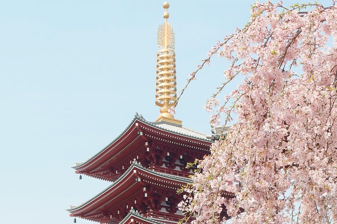 Private & Unique Kyoto Cherry Blossom "Sakura" Experience - Accessibility Information
