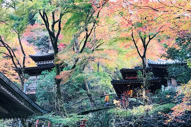 Private Walking Tour in Bamboo Forest & Hidden Spots in Arashiyama - Additional Tour Information
