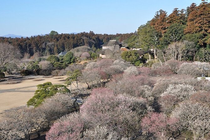 Samurai Private Tour With Umeshu Tasting in Mito - Minimum Group Size