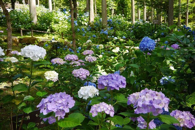 Sanzen-In & Enryaku-Ji Day Tour From Kyoto - Conclusion