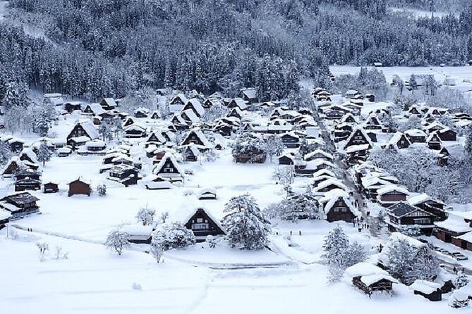 Shirakawago and Takayama 2 Days Tour From Nagoya - Transportation Logistics