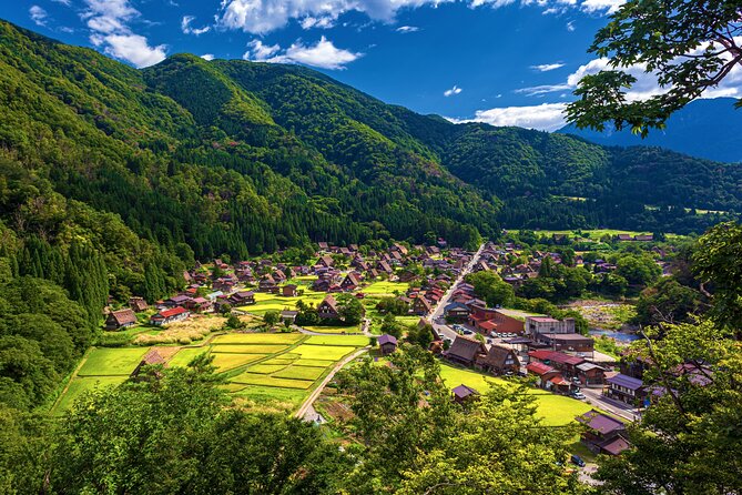 Shirakawago Day Trip: Government Licensed Guide & Vehicle From Kanazawa - Accessibility Features