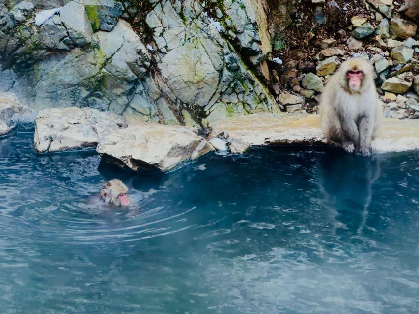 Snow Monkey Park & Zenkoji Temple One Day Trip - Details on Snow Monkey Park