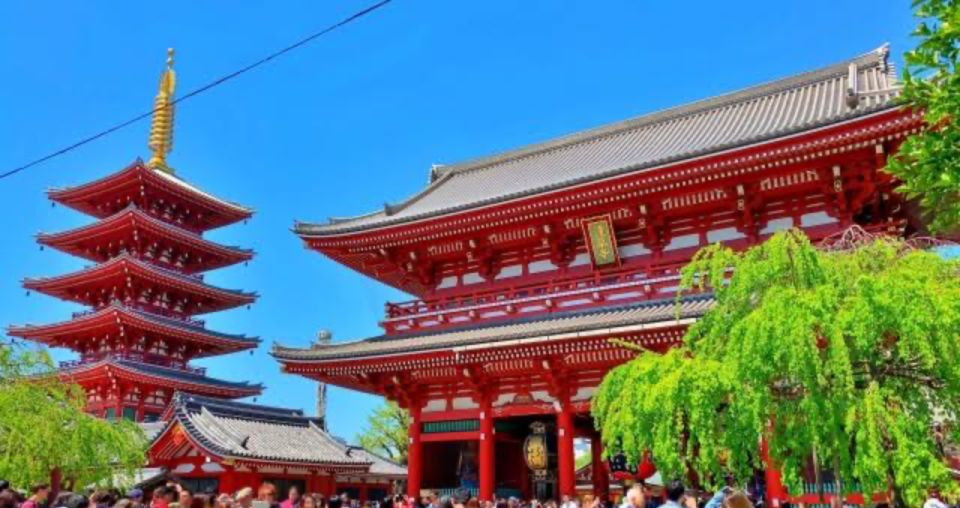 Tokyo: 1 Day Private Customisable City Tour by Car and Van - Important Information