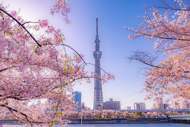 Tokyo Asakusa Half Day Walking Tour With Local Guide - Helpful Directions for Meeting Point