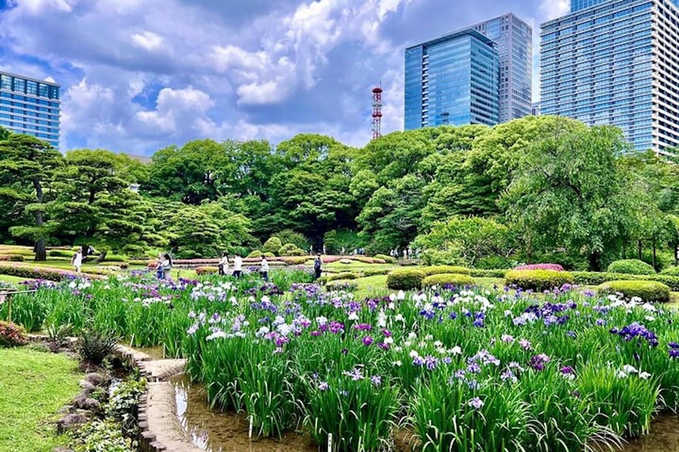 Tokyo: Chiyoda Imperial Palace Walking Tour - Highlights