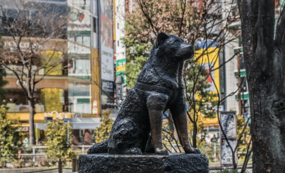 Tokyo City Customized Tour With English Speaking Guide - Inclusions