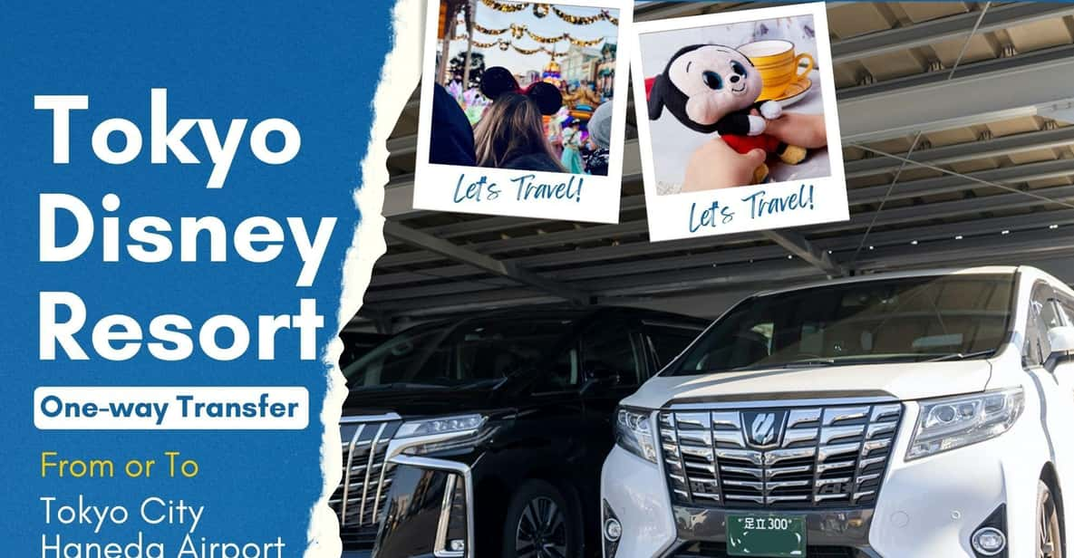 Tokyo Disney Resort Private Transfer: Tokyo, Narita & Haneda - Inclusions