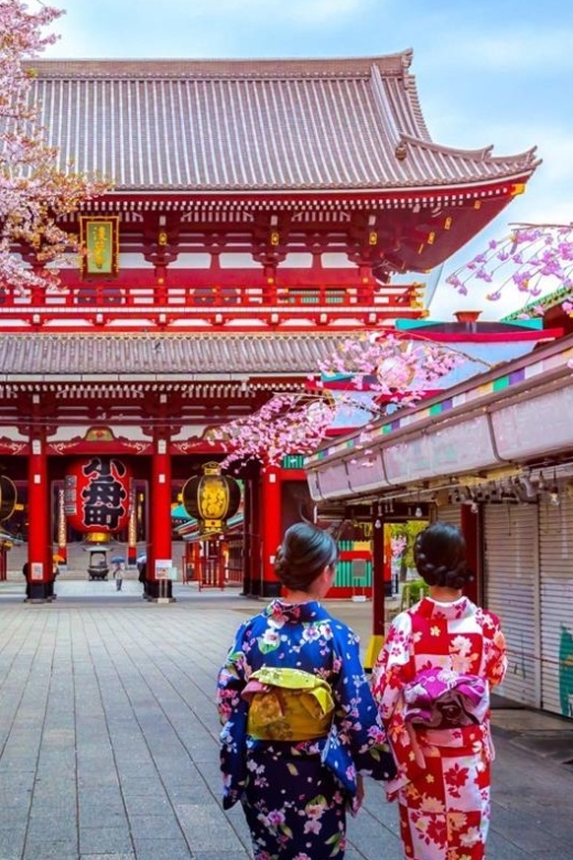 Tokyo: Full Day Private Walking Tour With a Guide - Inclusions