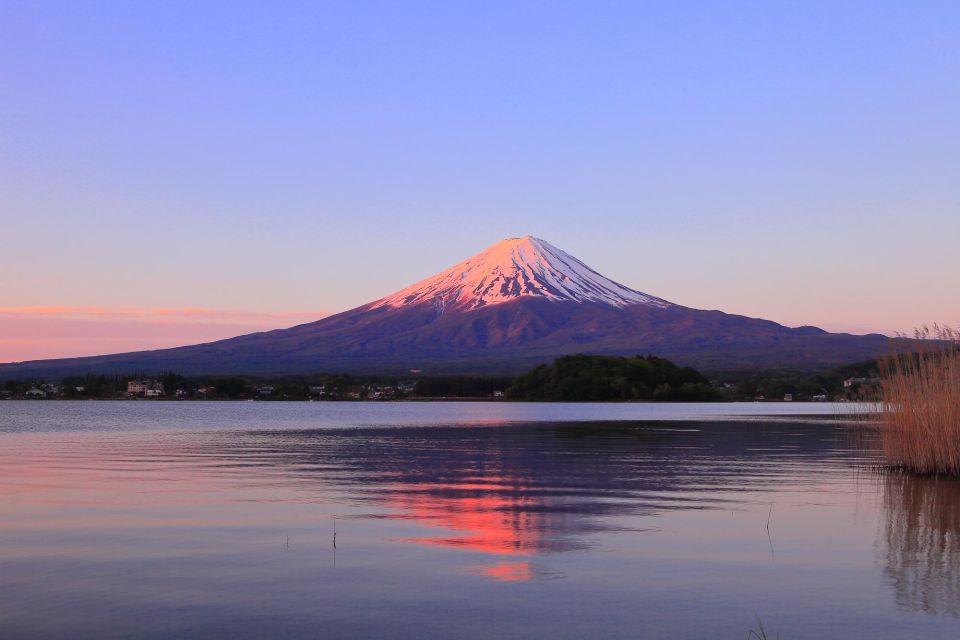 Tokyo: Mt Fuji Area Guided Tour With Traditional Lunch - Inclusions