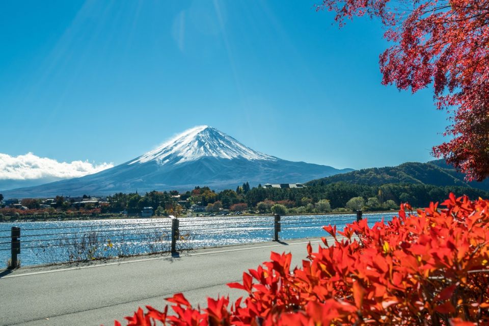 Tokyo: Mt. Fuji, Lake Kawaguchi,Lake Yamanaka,Onsen Day Tour - Recommendations