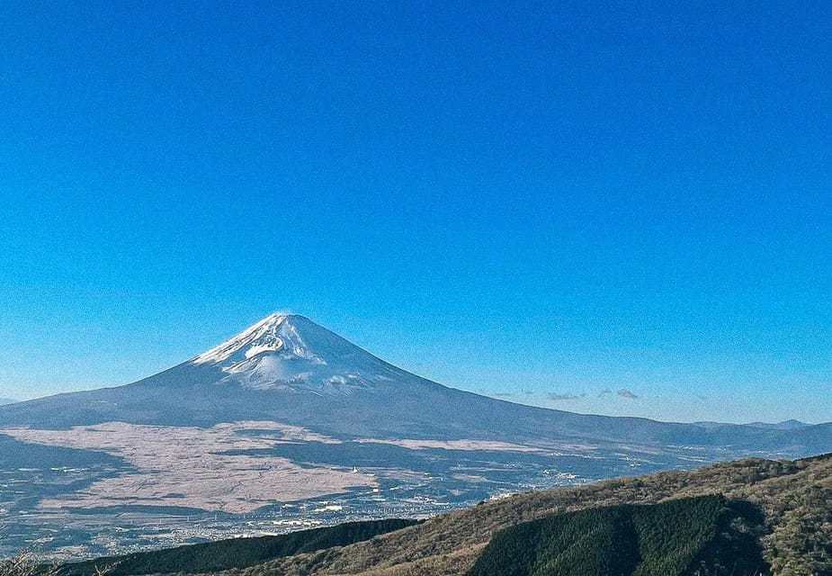 Tokyo: Onsen, Arts, and Nature Day Trip to Fuji and Hakone - Reviews