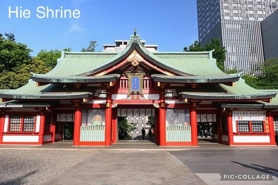 Tokyo: Private Full Day Sightseeing Tour - Reviews