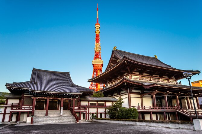 Tokyo Private Tour - Operations and Viator Partnership