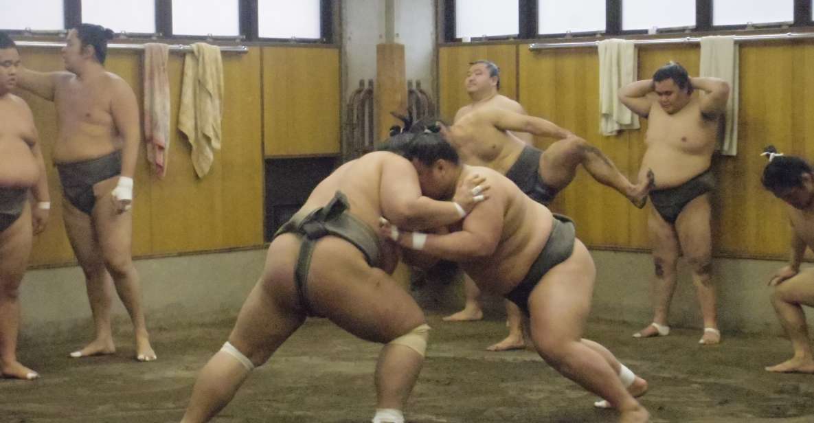 Tokyo: Sumo Morning Practice Viewing Tour - Customer Reviews