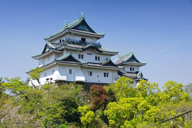 Wakayama Castle Town Walking Tour - Cancellation Policy Details