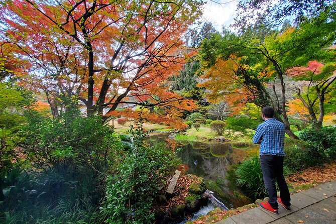 Walking Through the Aso Caldera, Historical Walk Along the 'Bungo Kaido' - Scenic Vistas of Mount Aso