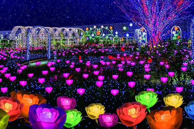 Watarase Keikoku Railway, Takatsudo Gorge,Illumination at Ashikaga Flower Park - Reviews and Customer Support