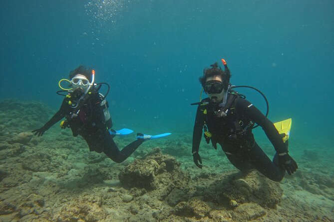 5 Hour Beginners Diving Course Experience in Amami Island - Key Takeaways