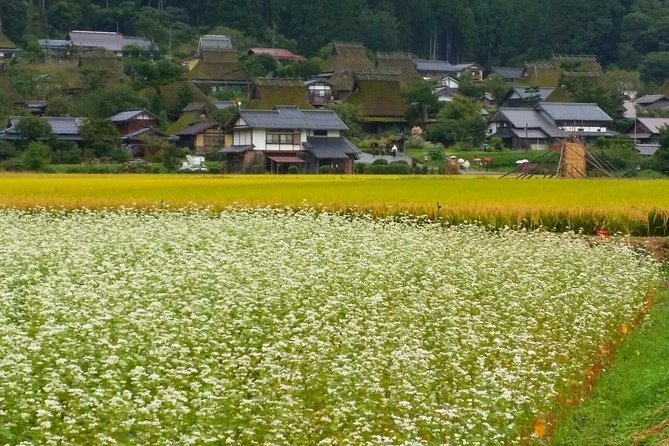 2 Days Kyoto Miyama Bike Tour Self Guided - Physical Requirements and Group Size