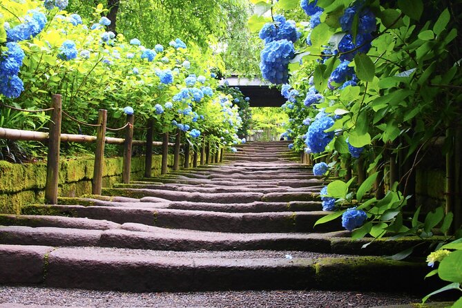 4-Hour Private Tour of Kamakura With Government-Licensed Guide - Weather and Refund Policy