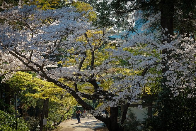 A Fun Day Out Discovering Kamakura - Booking Confirmation