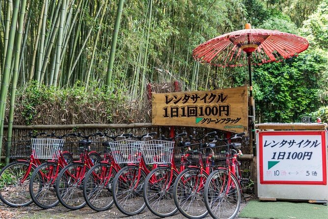 Arashiyama Bamboo Grove Day Trip From Kyoto With a Local: Private & Personalized - Cancellation Policy and Further Assistance