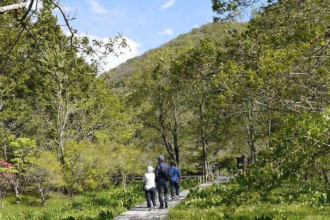 Easygoing Nature Walk in Hakone Tour - Traveler Reviews