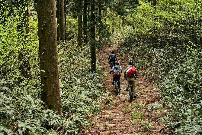 Emtb Tour to See the Beautiful Islands From the Summit - Cyclists on Trails