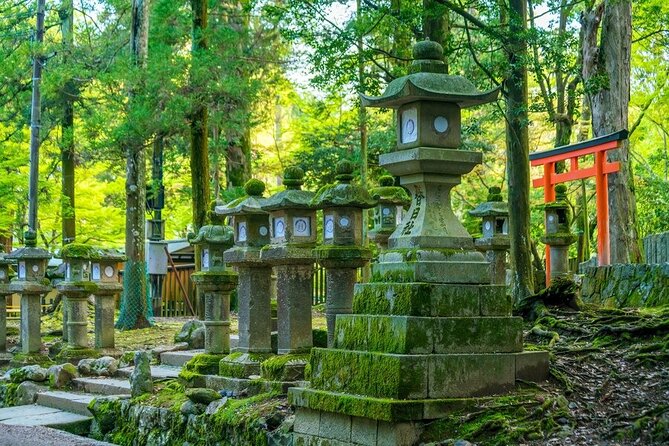 Explore the Best Spots of Arashiyama / Nara in a One Day Private Tour From Kyoto - Confirmation & Accessibility