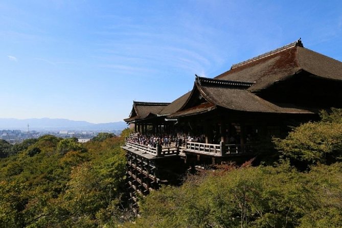 Free Choice of Itineraries Kyoto Private Tour - Customer Reviews Analysis