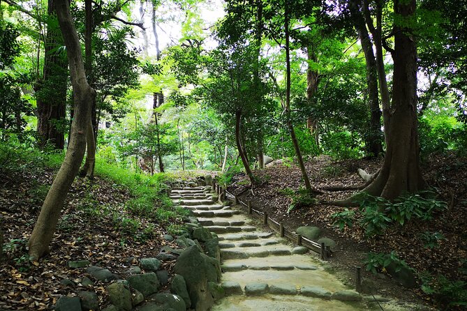 From Asakusa: Old Tokyo, Temples, Gardens and Pop Culture - Product Code and Rating