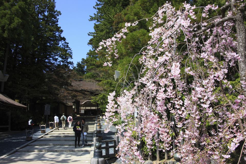 From Osaka: Mt. Koya Private Walking and Train Tour - Restrictions