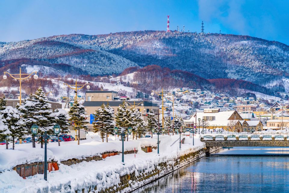 From Sapporo: 10-hour Customized Private Tour to Otaru - Driver, Vehicle, and Comfort