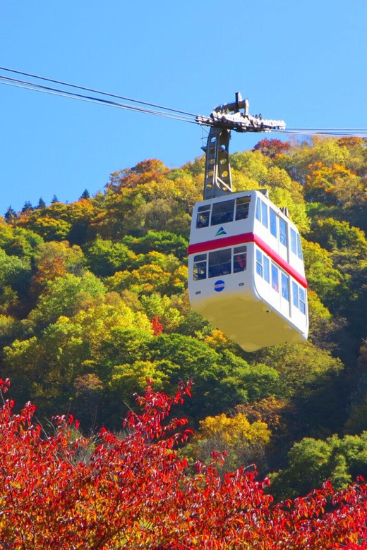 From Takayama: Shinhotaka Ropeway and Kamikochi Tour - Meeting Point and Directions