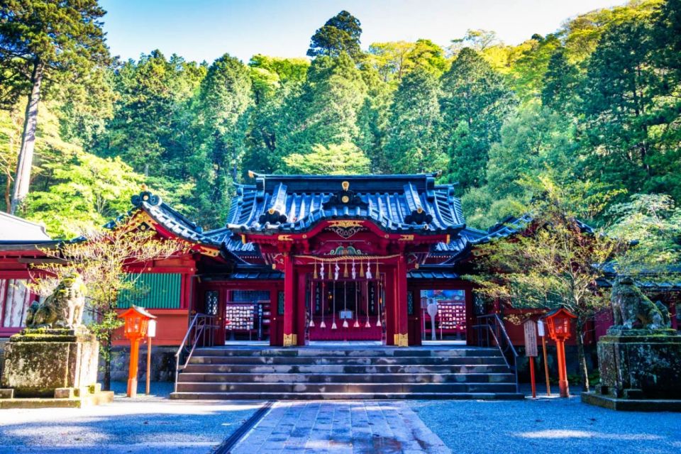 From Tokyo: 10-hour Hakone Private Custom Tour - Booking Options