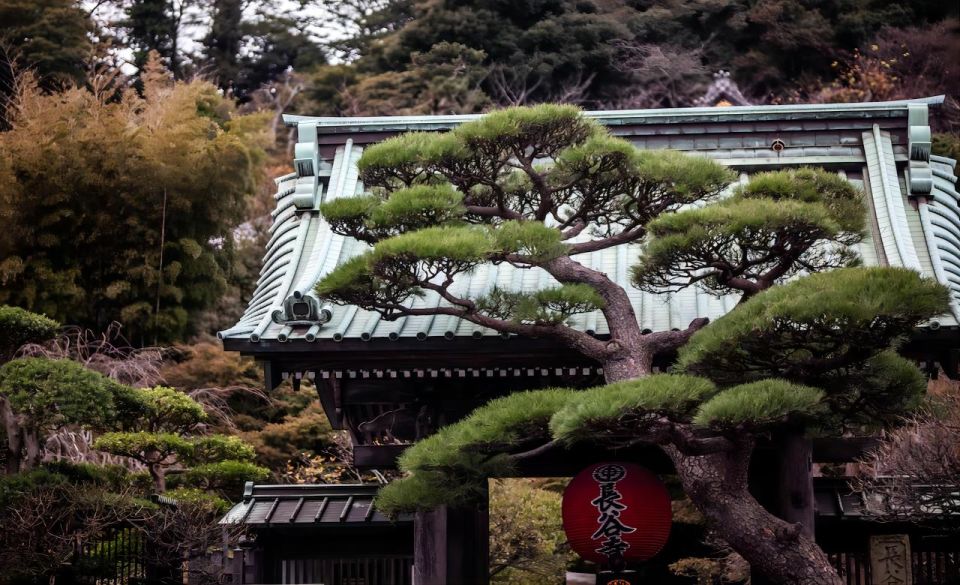 From Tokyo: 10-hour Private Custom Tour to Kamakura - Inclusions