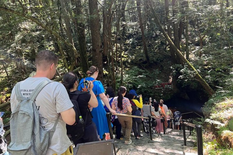 From Tokyo: Guided Aokigahara Forest and Mt.Fuji Day Tour - Best Vantage Points