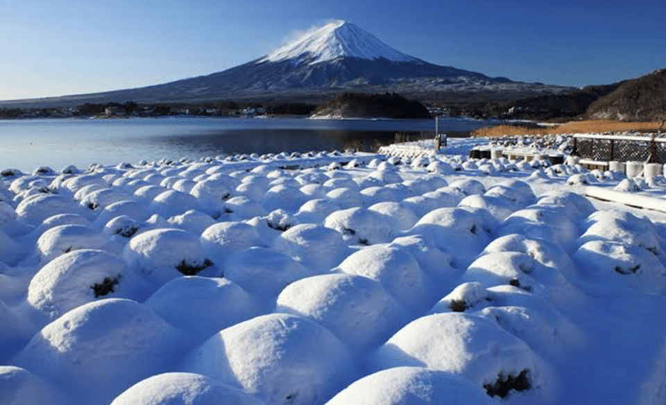 From Tokyo: Mount Fuji Full Day Private Tours English Driver - Common questions